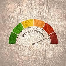 Short Stature Child: When to Worry