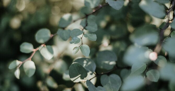 Sermorelin for 8 Year Old Growth Chart Drop: Understanding When a Child’s Growth Pattern Changes image