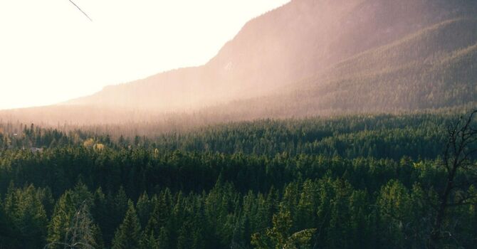 Child Growth Labs Normal but Short: Understanding Why Height Can Still Lag image